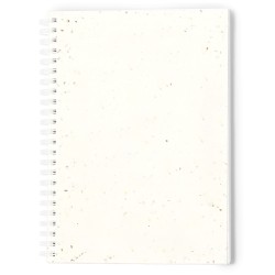 Caderno Sementes Bitar