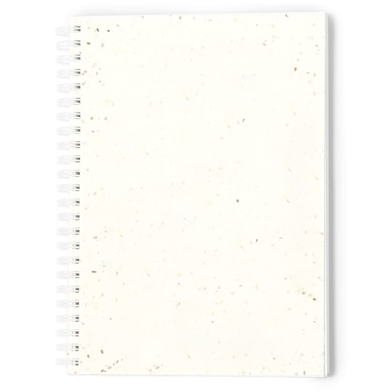 Caderno Sementes Bitar